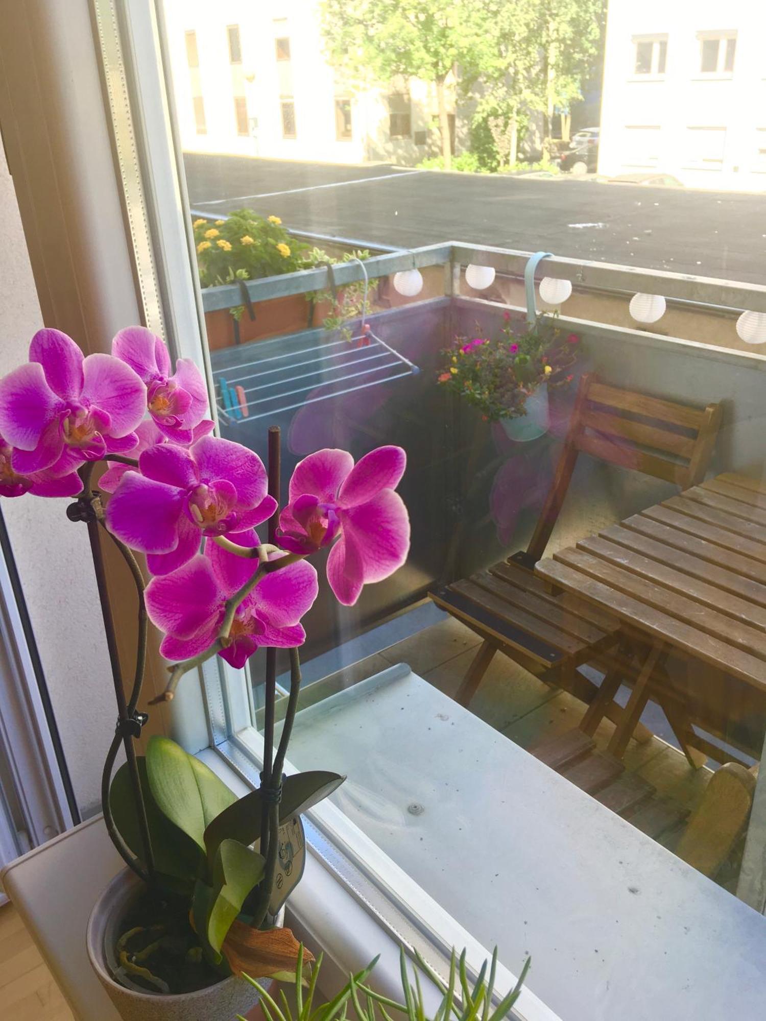 Cosy Studio Andy With Great Location Apartment ลูบลิยานา ภายนอก รูปภาพ